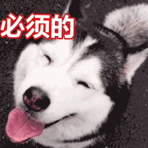 狗狗伸舌头逼眼睛呆萌gif动图_动态图_表情包下载_soogif