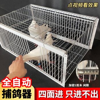 斯永达捕鸽神器全自动新型捕鸡网天落笼鸽子笼跳门撞门笼用具鸽子用品