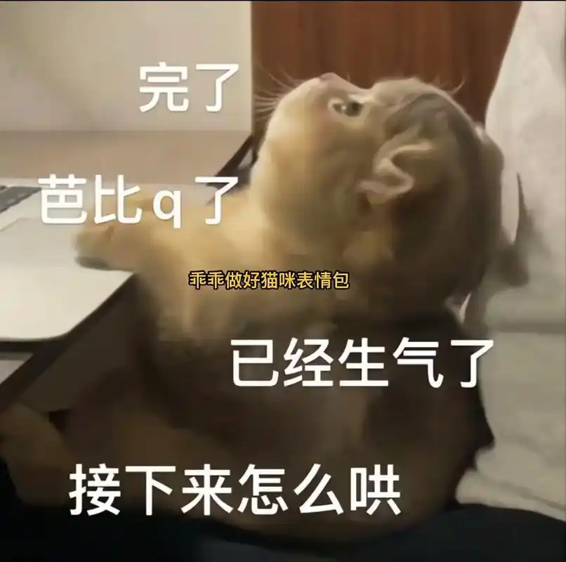 乖乖坐好猫咪表情包!#表情包 #猫咪表情包 #乖乖坐好猫咪表 - 抖音