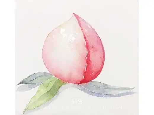 画画 水彩 原创 手绘插画 手绘水果 水彩桃子绘画过程