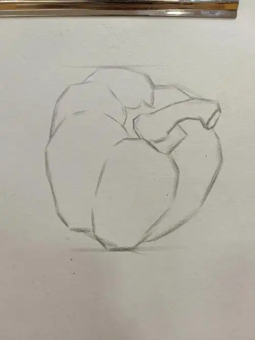 静物素描灯笼椒