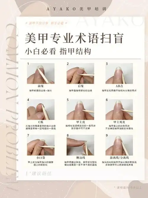 美甲入门必看i美甲专业术语i指甲结构