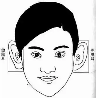 招风耳面相 (十种福气耳朵图解)-第1张图片-珑钦运势网