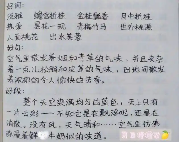 好词好句好段摘抄79▽79