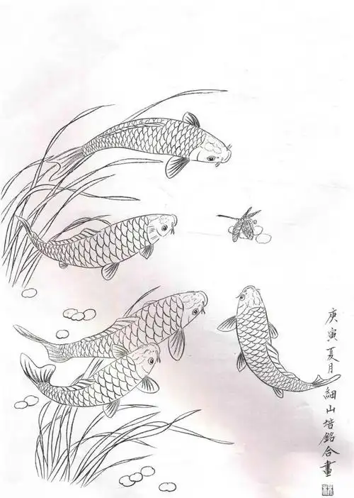 素材| 一组工笔锦鲤白描画稿