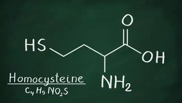 同型半胱氨酸升高有害处吗?怎样把它降下来