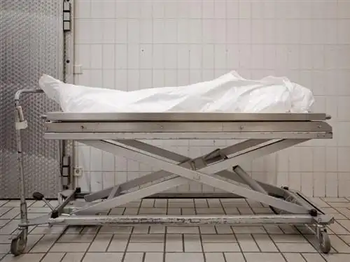 死亡与恐惧摄影师记录太平间的秘密