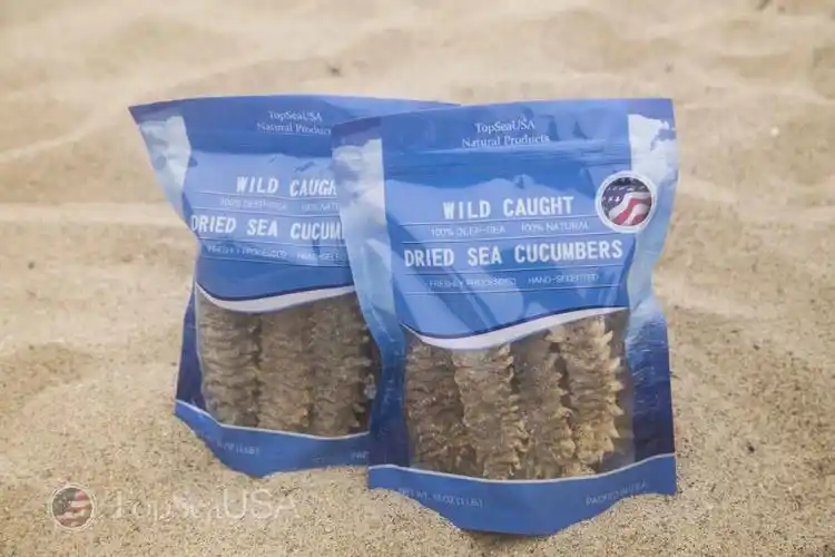 好物推荐南美刺参王