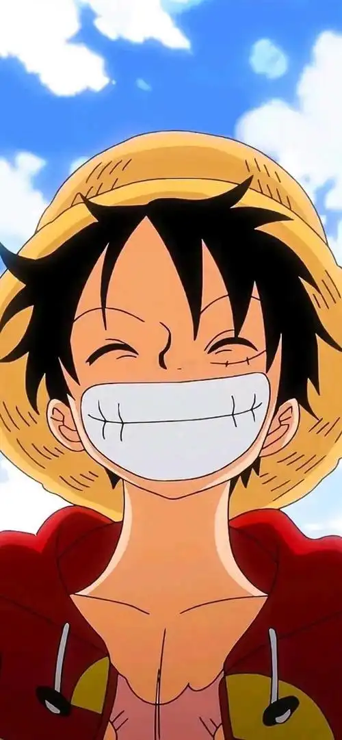 海贼王 精选 侵权删 - 堆糖,美图壁纸兴趣社区