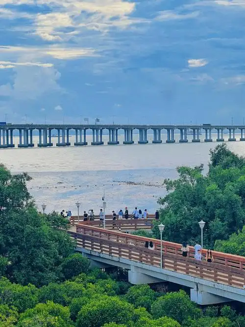 深圳宝安区西湾红树林公园