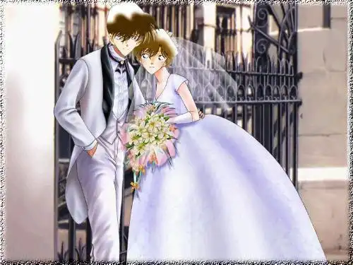 需要一张《名侦探柯南》新一和小兰的结婚照