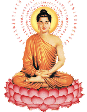 300_385竖版 竖屏gif 动态图 动图