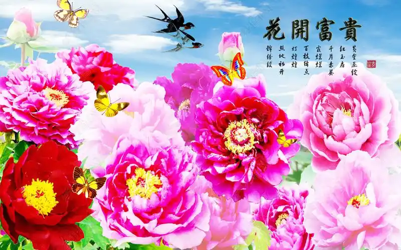 花开富贵牡丹图