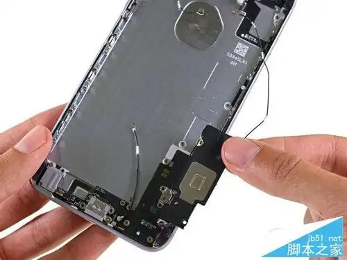 来到 iphone 6s plus 的"最深处",分别是扬声器和小天线