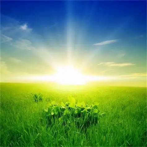 给人一种阳光的头像