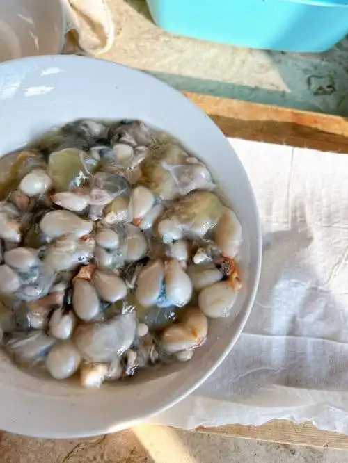 墨鱼蛋肉饼蒸蛋的做法 步骤1