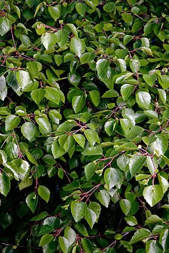 户外 图片_户外 图片大全_全景图片