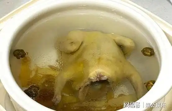 高蛋白,补身体又不发胖|玉竹|滋补|鸽子汤|鸽子肉|膳食纤维_网易订阅
