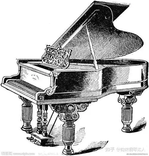 什么年龄学钢琴合适