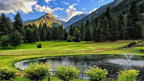 养眼醒目==对眼睛有好处的桌面