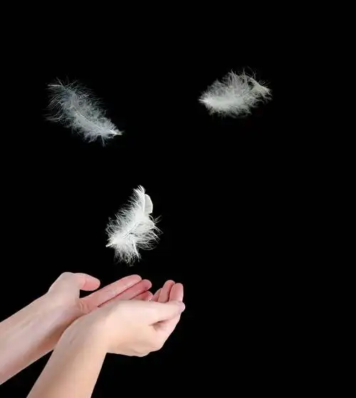 特写,白色,羽毛,落下