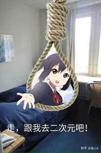 他再喊老婆,能进二向箔里面去 "再见,我去二刺螈了"吗?不能吧