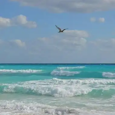 用大海风景做头像的人