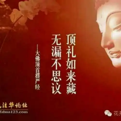 顶礼如来藏 无漏不思议