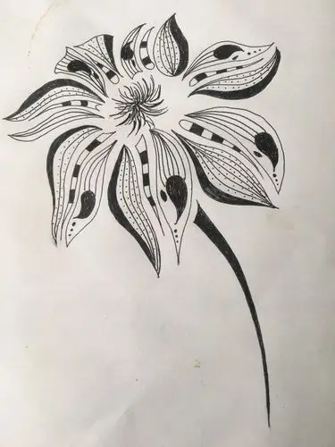 钢笔画,线条有的不够流畅