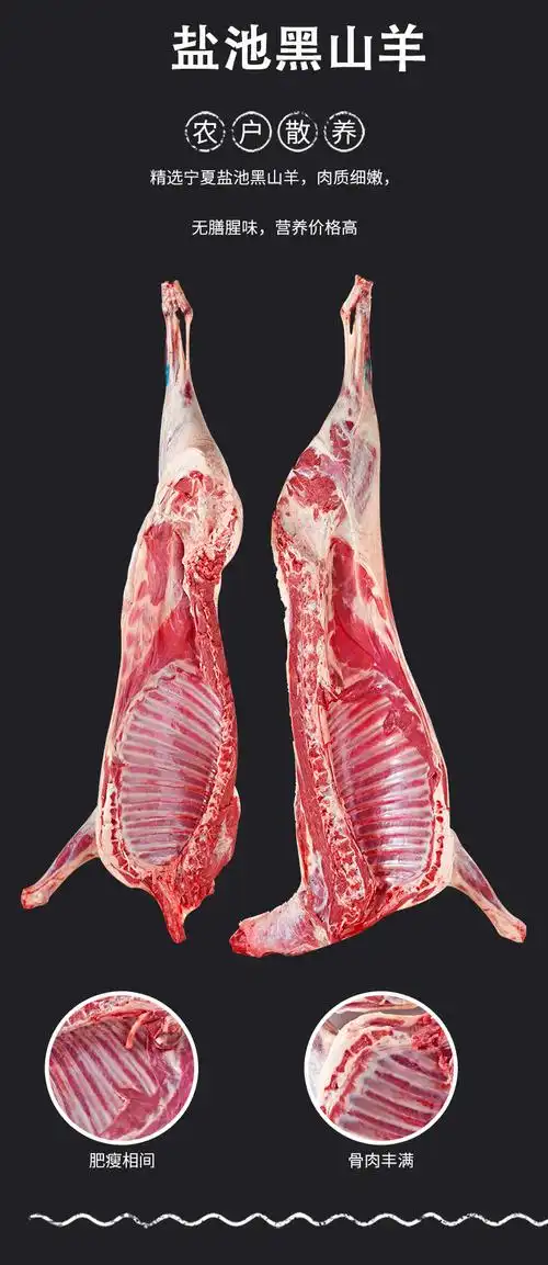 羊家旺 宁夏盐池滩羊肉 整只黑山羊32斤 精品全羊 烧烤 火锅食材 烤牛