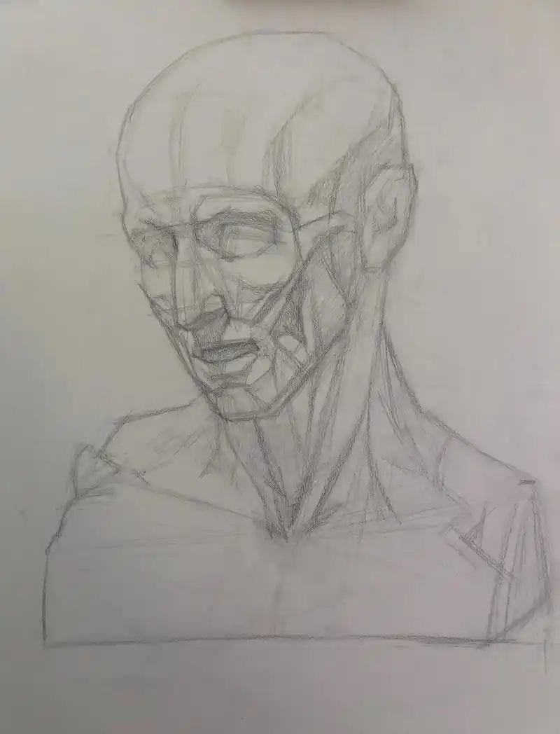 乌东人体解剖头部步骤图.#有色纸素描#艺用解剖 #乌东@一只 - 抖音