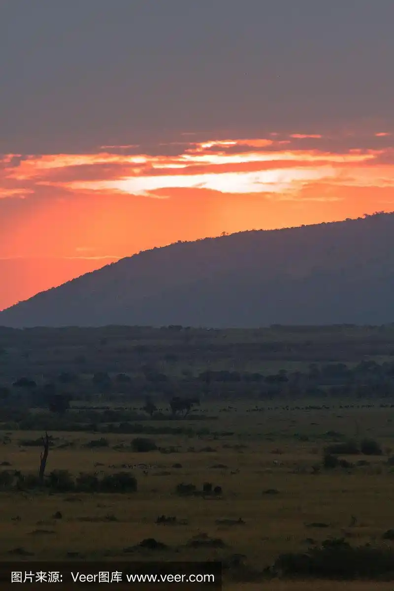 大草原上的日落.肯尼亚,非洲