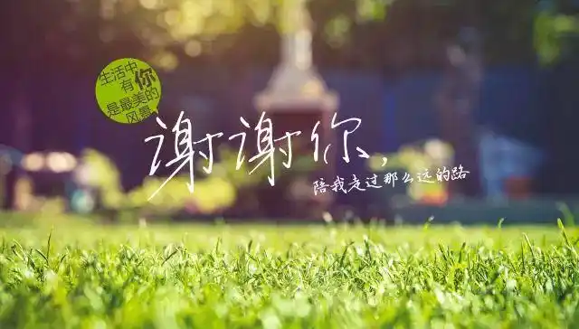 《谢谢你》真情启幕,邀你共赴"感恩之旅"