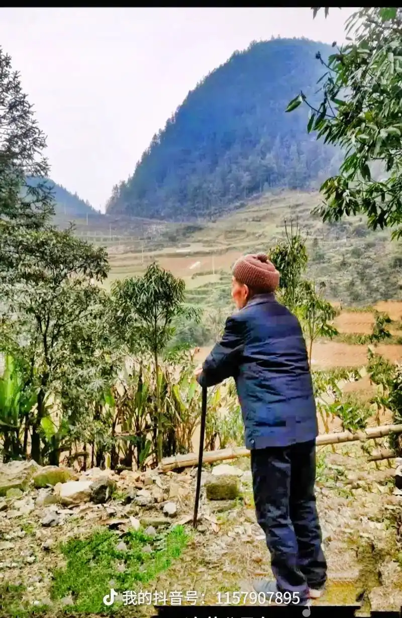 每次回家看见年迈的父母又苍老了许多,总有一种说不出的辛酸,愿 - 抖