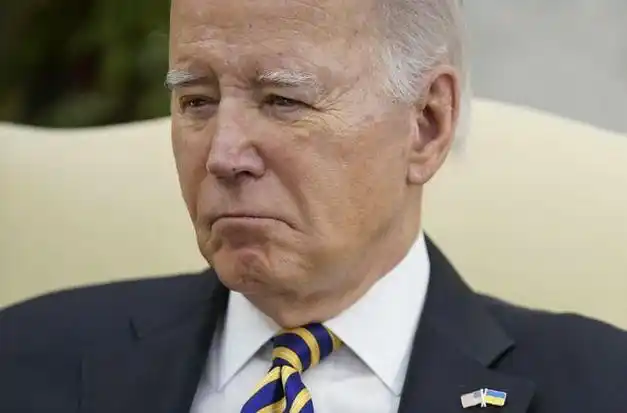 会在必要时使用武力|法学家|乔·拜登|总统特朗普|美国政治人物