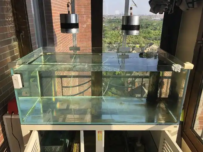 上岸了出米熊三重溢流底滤缸已清理干净