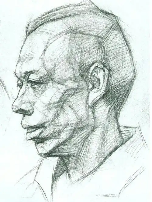 画人物头像必备的脸部结构知识