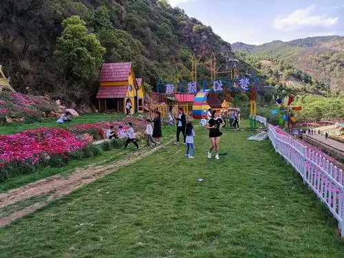 其它 奇幻迷离,绽放云花谷 写美篇项目地址:云南省