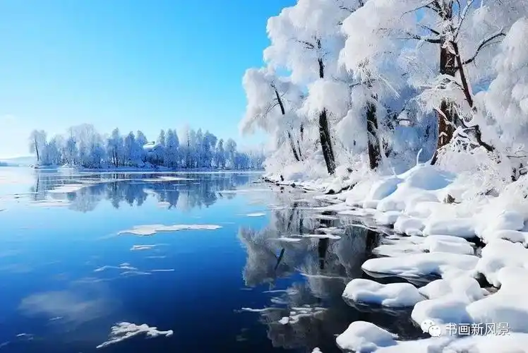 雪冬天的第一场盛宴