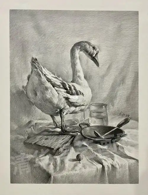 二开素描静物一只鹅