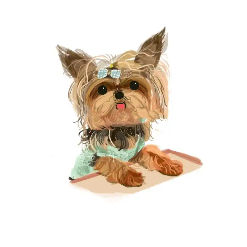 宠物定制|爱吐舌的约克夏卖萌头像合集 画风为可爱插画风,非一比一