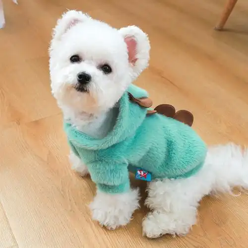 狗狗衣服春秋款米妮泰迪比熊博美加厚保暖宠物卫衣幼犬秋冬变身装帽衫
