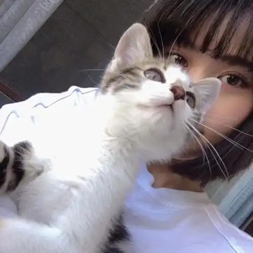 女生头像79女头79靓女