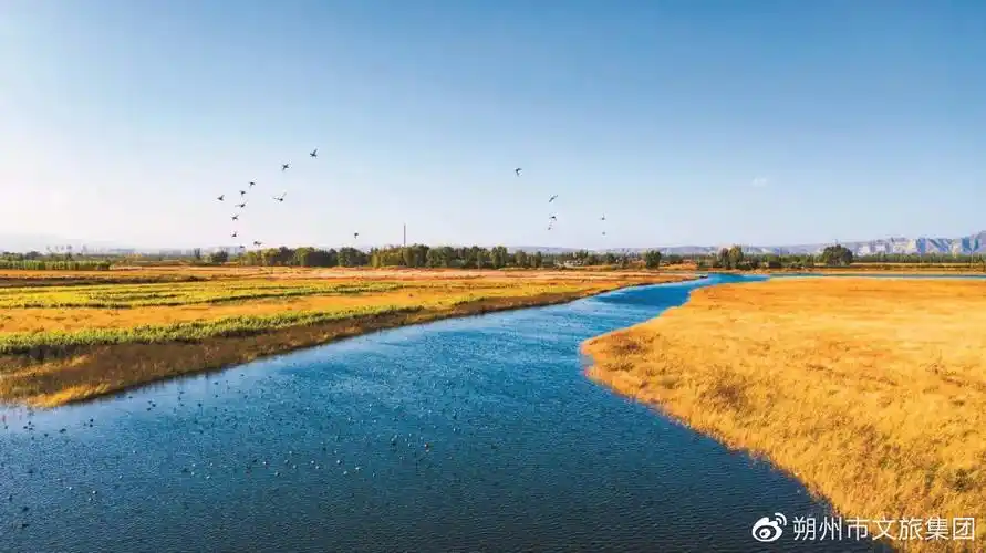 太阳照在桑干河上朔州独具特色的风景线