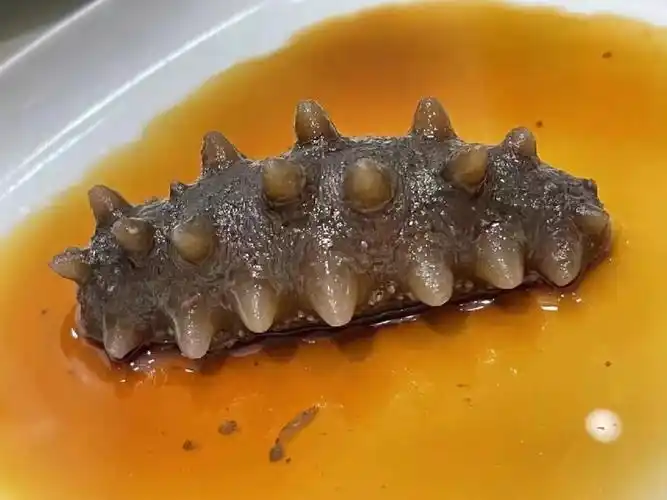 超好吃的海参蒸蛋