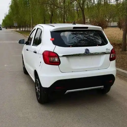 红日三缸燃油车御虎汽油四轮代步车