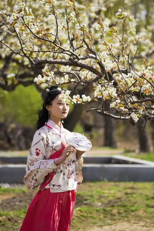 梨花颂(梅葆玖 大唐贵妃)