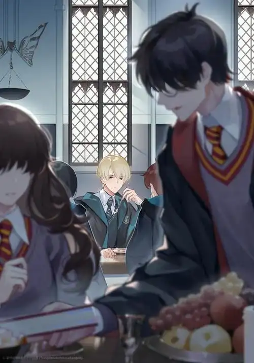 《哈利波特》格兰芬多  斯莱特林   哈利·波特  德拉科·马尔福