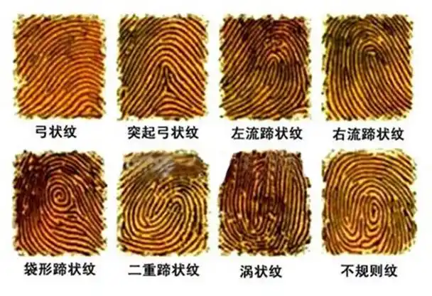 一斗穷二斗富康熙10个簸箕中科院发现斗与簸箕的奥秘