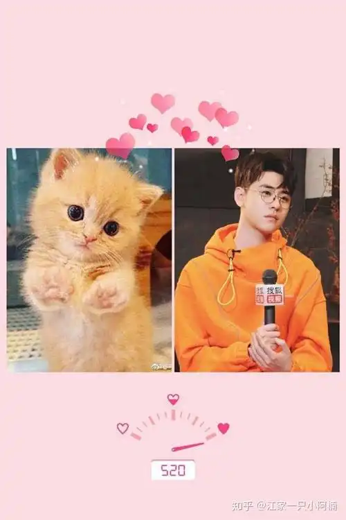 有那些德云女孩的专属壁纸